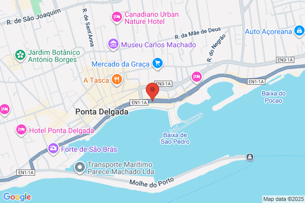 Rui M Aguiar Santos