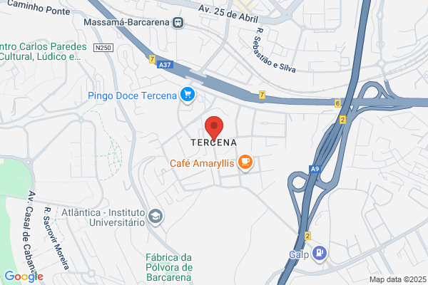 Damovo Portugal Lda