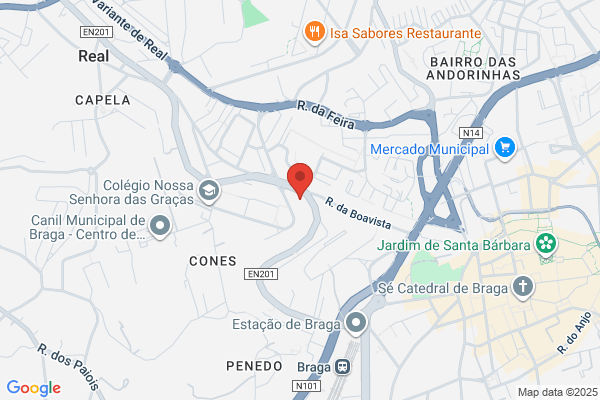 Isabel M Santos Gomes