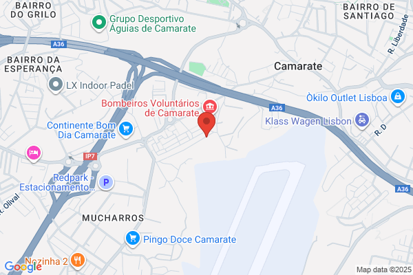 Damiàferreira Das Neves Lda
