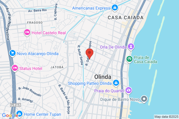 Olinda C V Santos Tiago