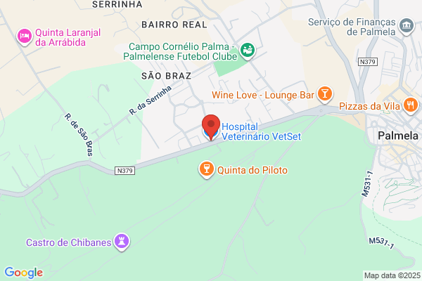 Vetsete-Clínica Veterinária De Setúbal Lda