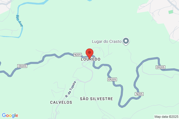 Laurinda J Teixeira Gonlves