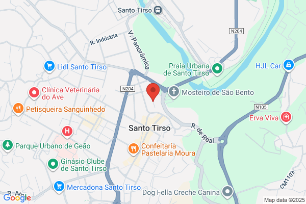 Raimundo Ribeiro Silva