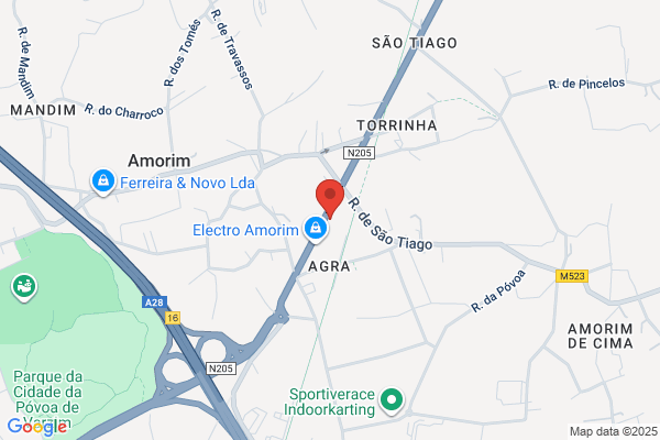 Henrique M Amorim Pontes