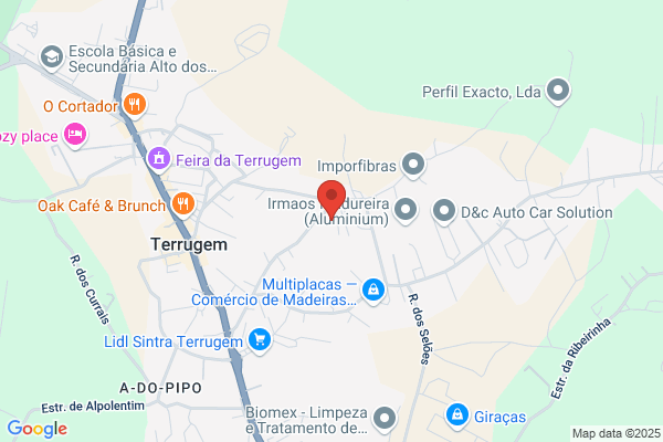 Delfim Jesus Mota