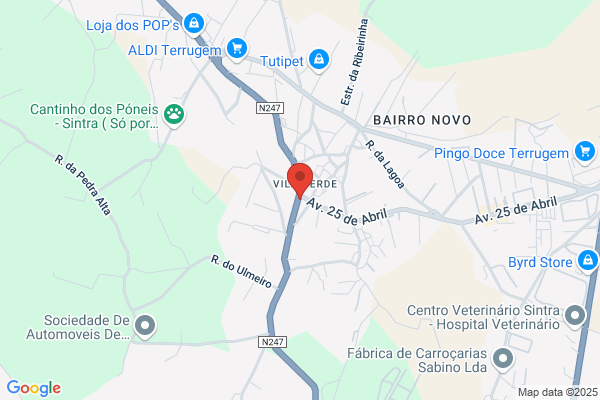 E Lacerda Tavares