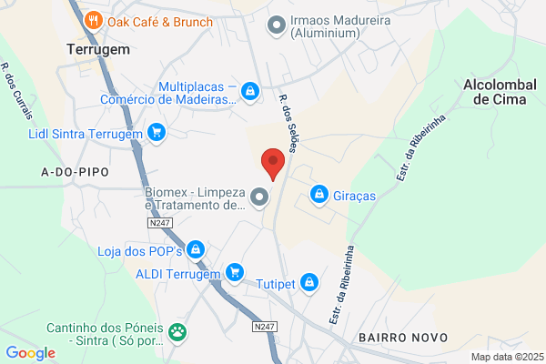 Gelo Expresso Lda