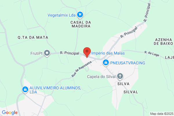 Fabrica De Malas A Maleira Sanjoanense. Lda