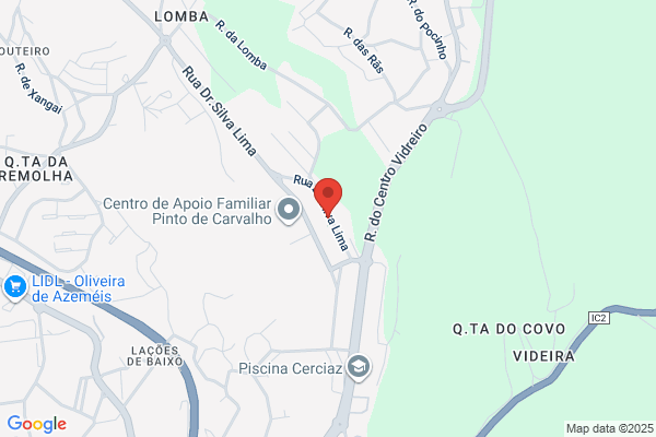 Maria C B P Lima Carvalho