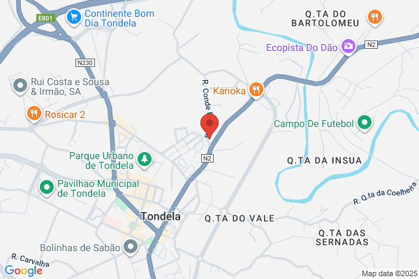 Clínica Veterinária Vetdinha Lda