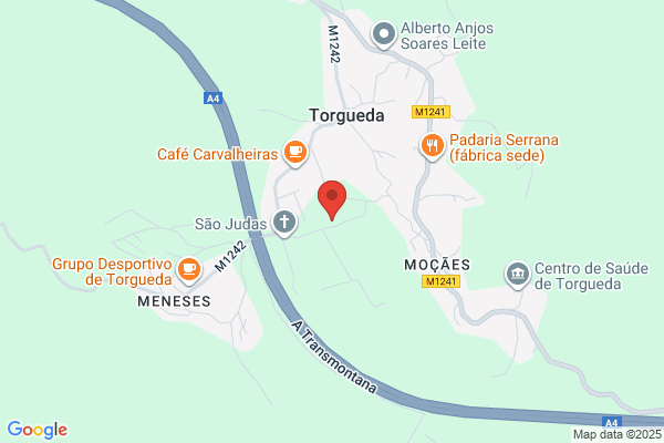 Abílio Teixeira Veigas