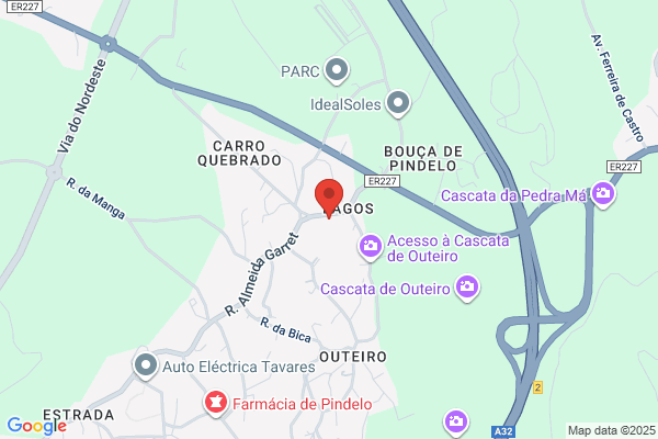 Cúia D P Lopes Seixas