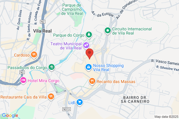 Nervir-Associaiao Empresarial De Vila Real