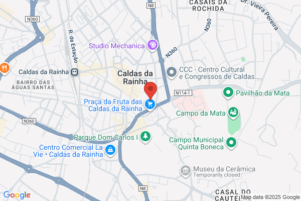 Andreia M Macedo Rodrigues