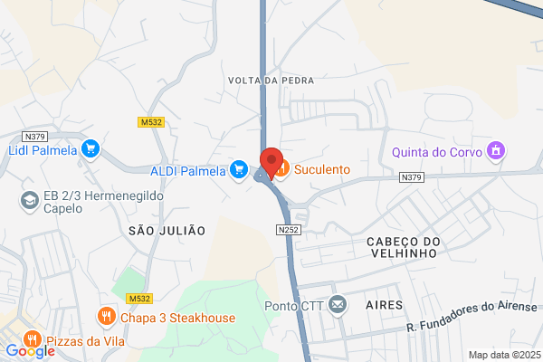 Hugo A J Ferreira Guerreiro