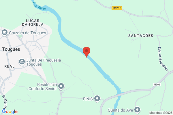 Rio Linear