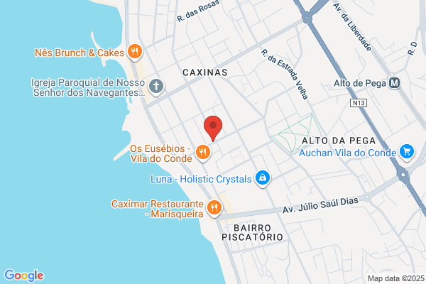Ana P Lopes Ramos
