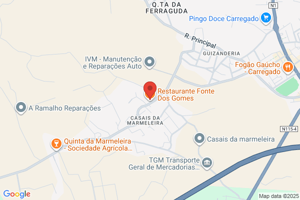 Luiz F Guia Carvalho