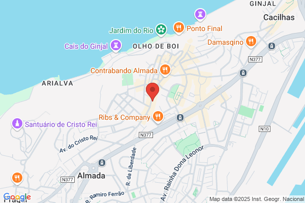Coleccionismo e Paixões Lda