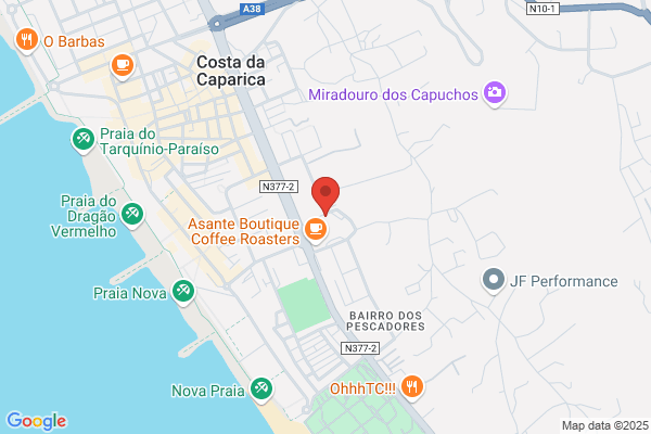 Adelino J Gonçalves Teixeira