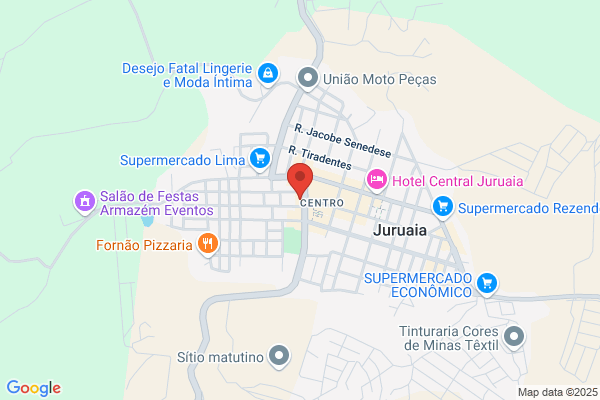 M Helena S Avelar Silva