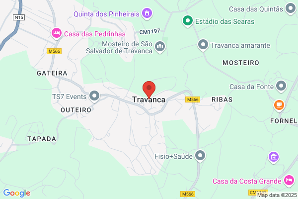 Joana Proça
