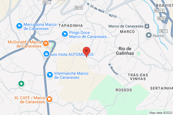 Alian`florestal-Sociedade P/ O Desenvolvimento Agro-Florestal Sa