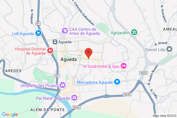 Altarte-Decoraiåes De Agueda. Lda