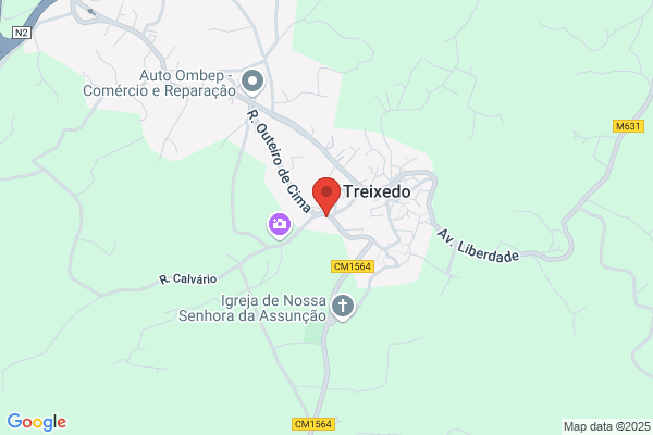 Posto De Saúde De Treixedo