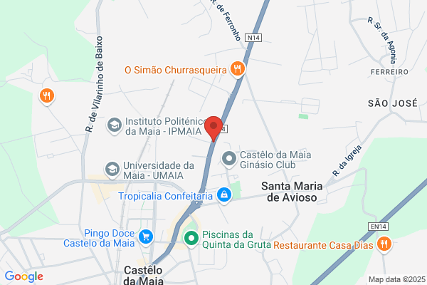 Carlos Manuel Dos Prazeres Vieira