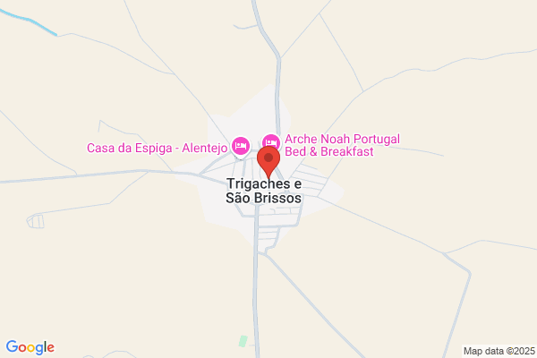 Agãia Funeréa Do Povo Lda