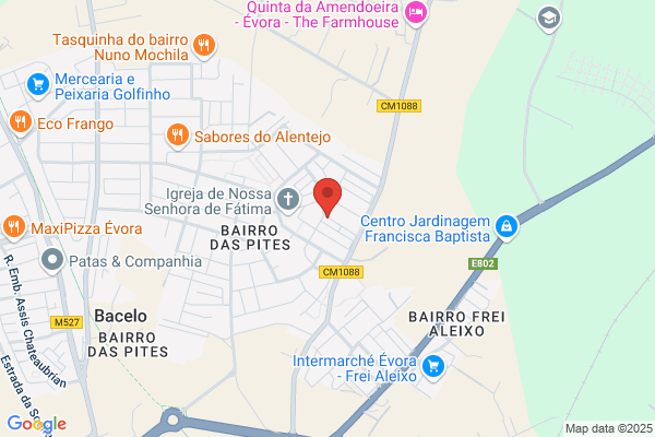 Anto Fonseca Diogo