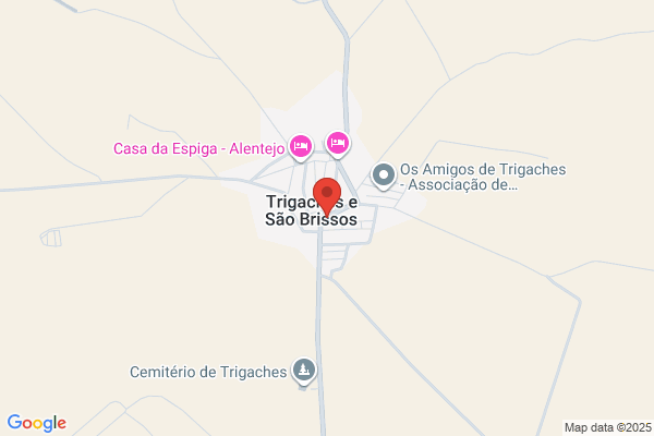 Espingardaria Super Safari