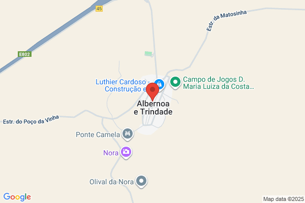 Armindo F Dores Dionísio