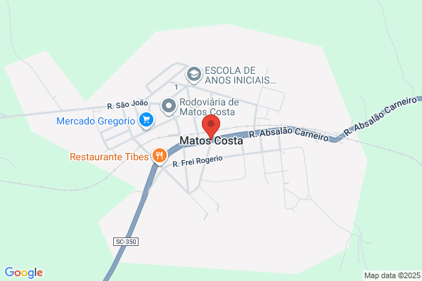 Alberto Matos Costa