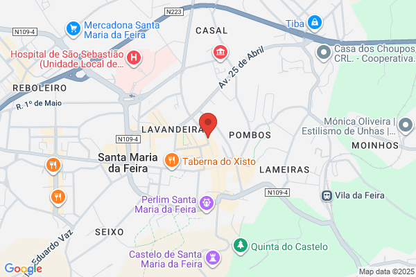 Catarina M Ferreira Norte