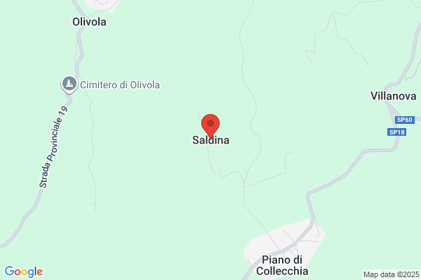 Salàdina