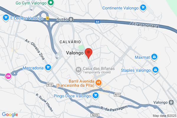Agencia De Viagens Vallis Longus. Lda