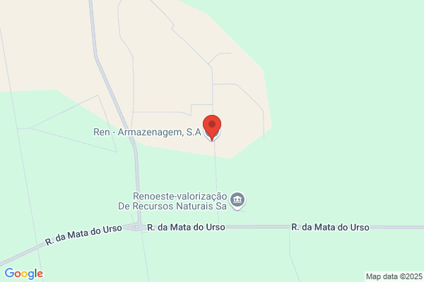 RENgms