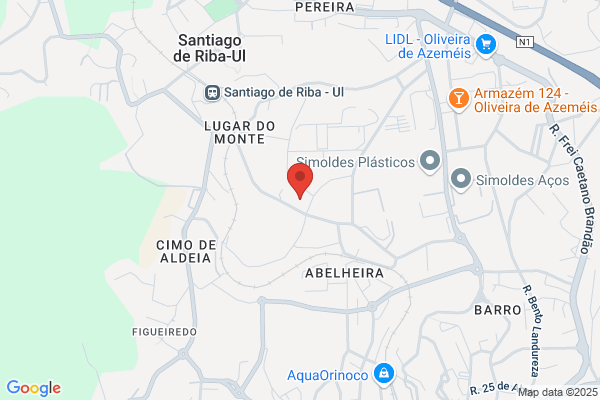 António A Bóia Oliveira