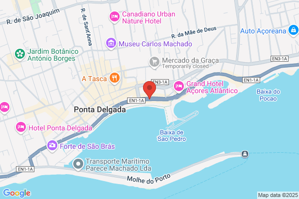 Rui M Aguiar Santos