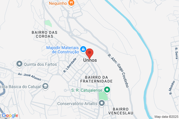 Deolinda S Raposo Salgueiro