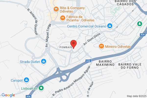 Rute-Técnicos Oficiais De Contas Lda