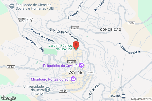 Antanio Coelho Alves De Sousa