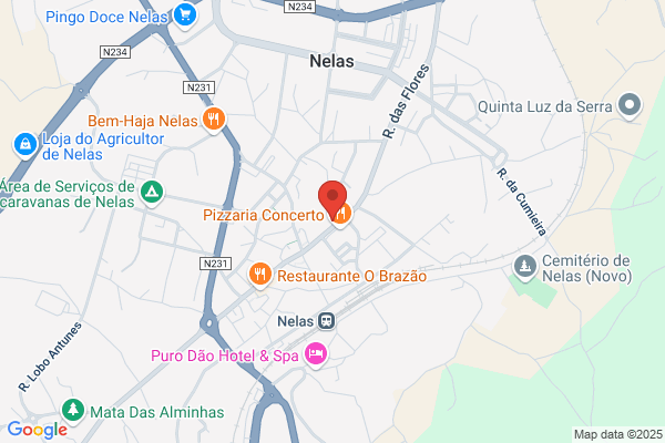Escola De Condução De Nelas-Ensino P/ Todos veículos automóveis lda