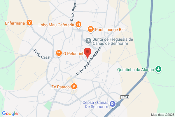 Fr-Técnicos Oficiais De Contas Lda