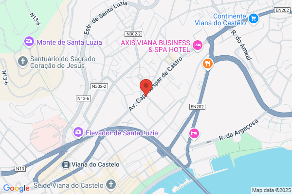 Maria R A Inéo Domingues