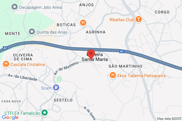 Maria F Oliveira Pereira