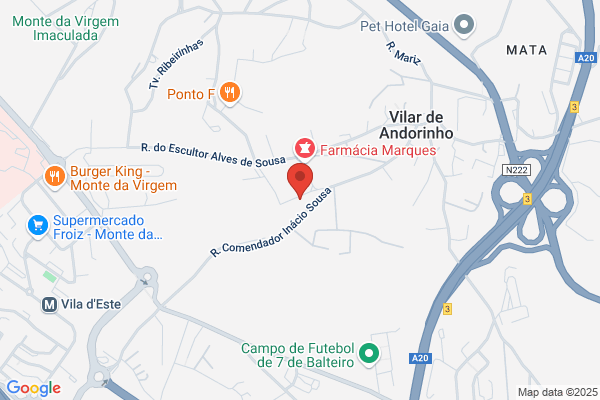 Alzira Freitas Marques